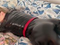 Woman in leather catsuit is tied up and whipped