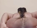 SEXY PREGNANT BBW SHOWS HER ASSHOLE AND MILKS HER TITTIES AT THE SPA