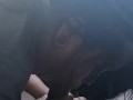 My Filipina Step sister loves sucking my 9'3" Thick Uncut BBC when boyfriend isn't around🔥🫣🔥