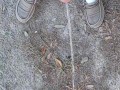 Risky Backyard Pissing Thought It Would Never End Compilation 1 Video Loop