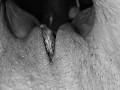 KuzzxAngelG BW oral