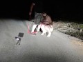 On public road total naked whore on leash and high heels pissing while sucking husband's cock