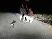 A good example of an obedient three holed fuck toy toilet cunt that all superior men expect to see f