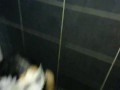 I'm not human just a urinal,cum hole,gokkun girl,deposit of sperm