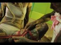 Learn Shibari / How to make a Frog Tie // Bondage Workshop