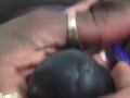 ebony pov pegging