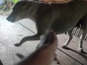 KANTUTAN vlog  kami muna ni brownie habang wala tao sa kubo