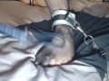 She was a bad girl so I'm tickling her feet