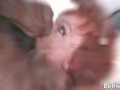 An Ass Gaping BBC for Horny Petite Wife Kessie Shy