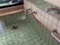 A couple having sex in a hot spring! Licking the penis thickly with sweat and copulating