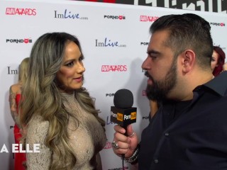 Craziest Thing Inserted in Vagina 2015 AVN Red Carpet Interviews PornhubTV