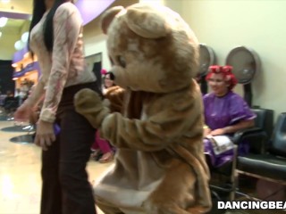 Party in the Salon with The One and Only DANCING BEAR! (db8979)