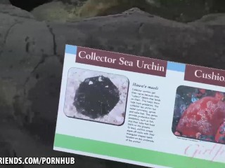 You had such an amazing time in Hawaii fucking her sweet ass