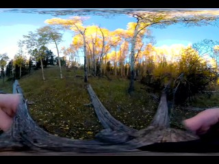 Testing Out A Bad Dragon Dildo. 360VR 