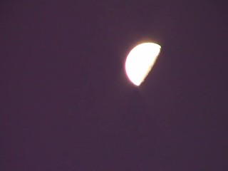 Punk Rock Show #14: The Cum Eating 23/02/2018 17:50