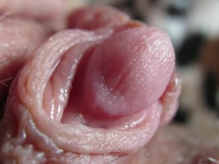 Pulsing Hard Clitoris In Extreme Close Up