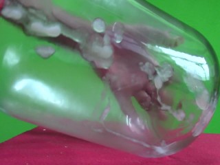 High Quality Sperm for a Laboratory