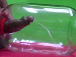 High Quality Sperm for a Laboratory