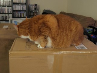 $15 Server Rack Adventures - Part 1 (VLOG) - Netgear 24-port Switch