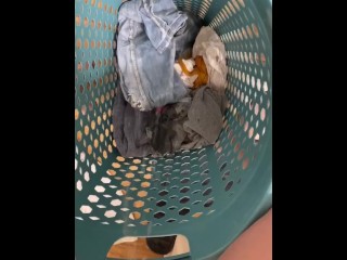 naughty pissing in the laundry basket