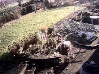 Sometimes, the toilet is too good for your Wild Boy.