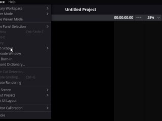 How to set up a REMOTE RENDER SERVER in DaVinci Resolve (LINUX Remote)
