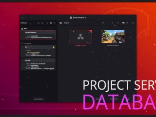 How to set up a REMOTE RENDER SERVER in DaVinci Resolve (LINUX Remote)
