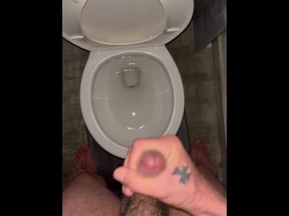 Toilet cum dump