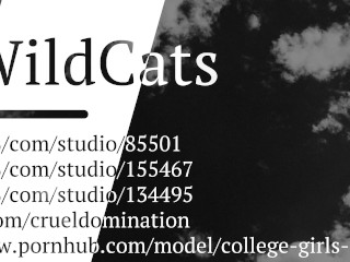 My slave is sniffing my smelly socks.I spit in his face