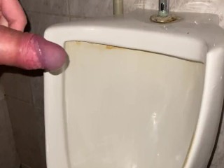 Pissing my beautiful cock with big balls in a public office toilet