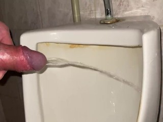 Pissing my beautiful cock with big balls in a public office toilet