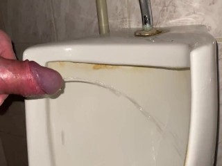 Pissing my beautiful cock with big balls in a public office toilet