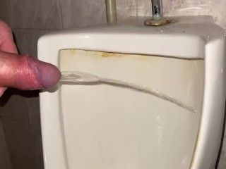 Pissing my beautiful cock with big balls in a public office toilet