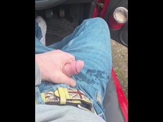 REQUEST - Pissing in the neighbours car in public