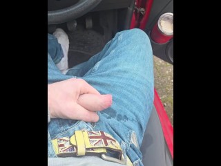 REQUEST - Pissing in the neighbours car in public