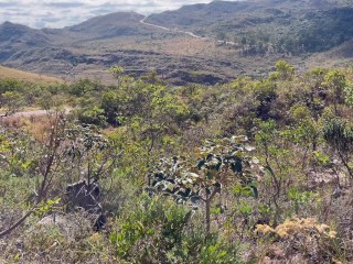 PARAMOS NA ESTRADA E EU CHUPEI MEU NAMORADO NO MATO