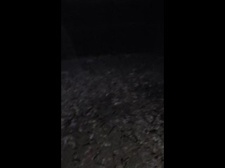 ზღვის პირას მოვტყანი/Sex on the sea/Секс на море