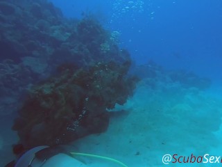 SCUBA Sex Quickie while on a deep dive exploring a coral reef