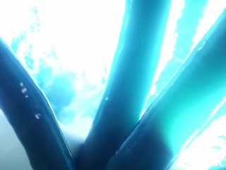 Tifa and Aerith vs 12 slimy rods