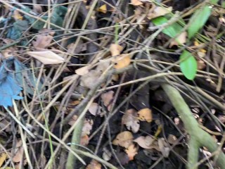 Sex sa tabing kalsada tas pinutokan sa loob - Risky Public