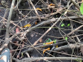 Sex sa tabing kalsada tas pinutokan sa loob - Risky Public