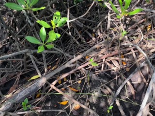 Sex sa tabing kalsada tas pinutokan sa loob - Risky Public