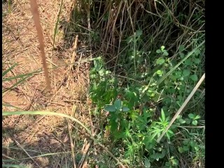Indian Randi sex in jungle (Forest) new video 2024
