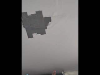 Pornography, squirrels, construction equipment, and flowers.