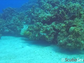 SCUBA Sex in a Miniskirt by a Beautiful Coral Reef