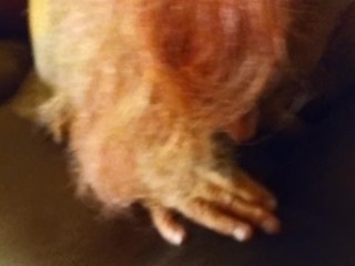 Sucked His Dick So Good Made Him Cum Twice in Five Minutes! Not Too Bad!! 🍆💦💋