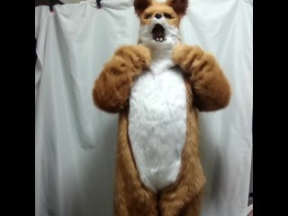 Man→Fox→Girl kigurumi transformation