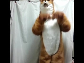 Man→Fox→Girl kigurumi transformation