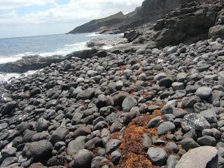 My naked short-haired wife sucked my cock outdoor on a beach