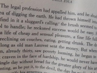 Reading Emile Zola